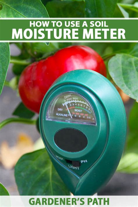 tomatoes measuring soil moisture with a meter|tomato moisture level calculator.